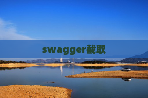 swagger截取